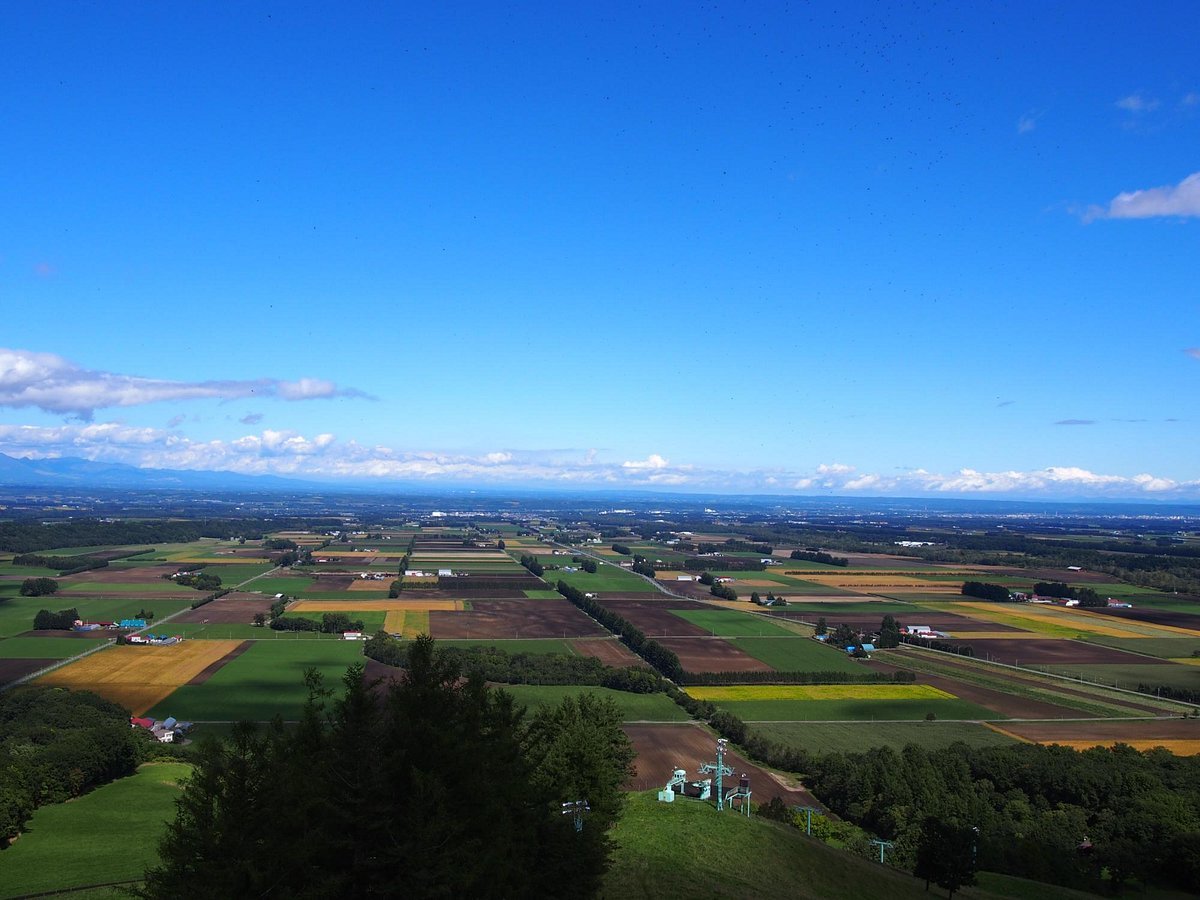 🏞️ 신아라시야마 스카이파크 전망대(신아라시야마 스카이파크 텐보다이) 이미지 1